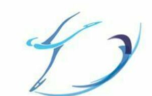 Les P'tits Potins - Novembre 2025 -